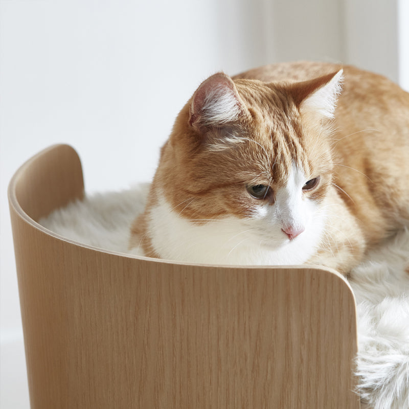 MIA CARA Torre, Cat Scratch Tower, Ash Wood Black Stained, Felt Black M