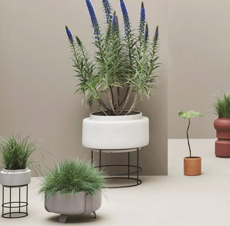 BOLIA Botanique Flowerpot Ø50 x H54,5 cm - CLEARANCE Forty Percent Discount