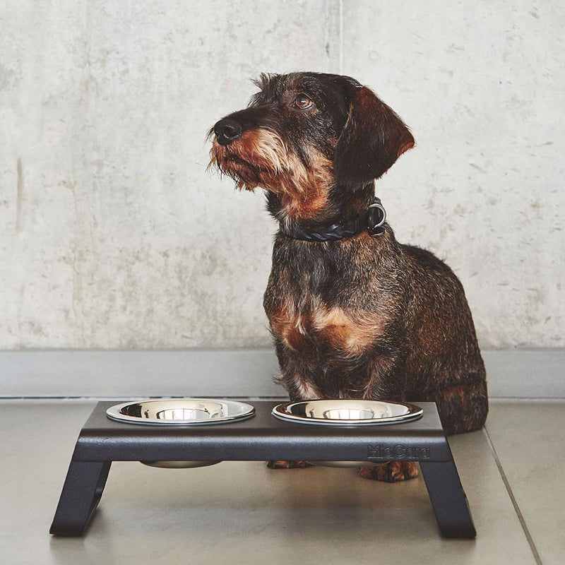 MIA CARA Desco, Dog Feeder, Powder- Coated Black S